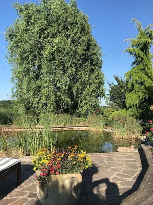 Lovely Cottage With Nice Outdoor Area Benedikt v Slovenskih Goricah Экстерьер фото