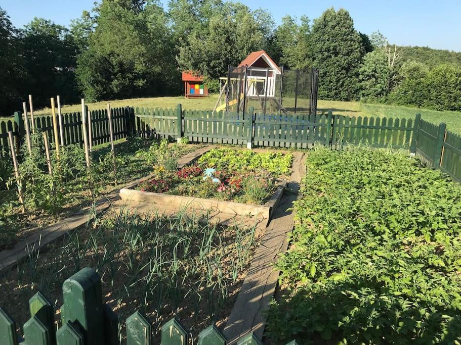 Lovely Cottage With Nice Outdoor Area Benedikt v Slovenskih Goricah Экстерьер фото